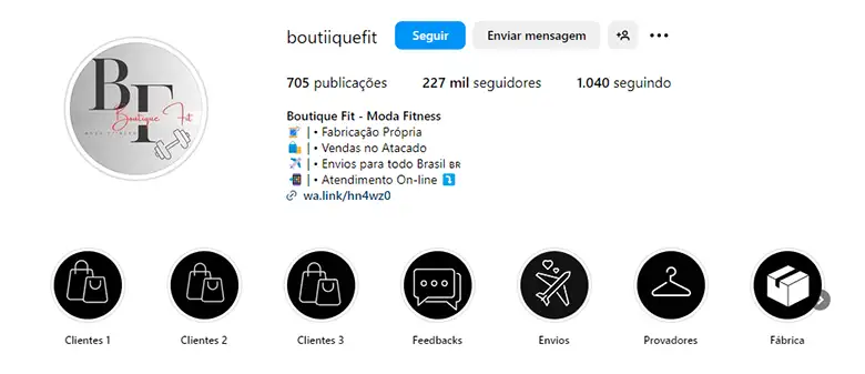 Printscreen de um perfil que é golpe no instagram